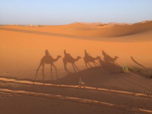 MAROC EN FAMILLE